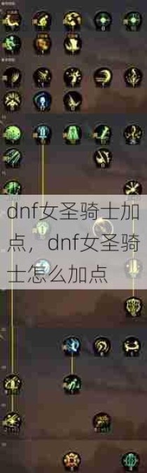 dnf女圣骑士加点，dnf女圣骑士怎么加点