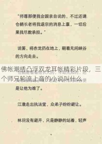 佛帐潮绣凸浮双龙耳帐精彩片段，三个师兄轮流上音的小说叫什么