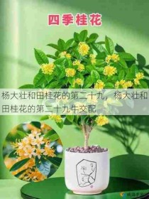 杨大壮和田桂花的第二十九，杨大壮和田桂花的第二十九牛交配