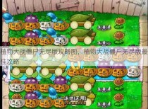 植物大战僵尸无尽版攻略图，植物大战僵尸无尽版最佳攻略