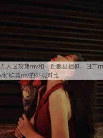 无人区玫瑰mv和一颗狼星相似，日产mv和欧美mv的外观对比