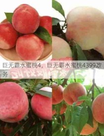 巨无霸水蜜桃4，巨无霸水蜜桃4399政务