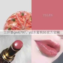 三叶草gw6797，ysl水蜜桃86官方官网