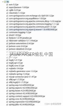 JAVAPARSER偷乱中国