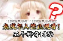 18款夜里禁用b站，18款夜里禁用b站播放