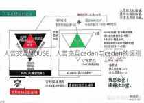 人曾交互MOUSE，人曾交互cedan与cedan的区别