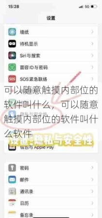 可以随意触摸内部位的软件叫什么，可以随意触摸内部位的软件叫什么软件