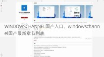 WINDOWSCHANNEL国产入口，windowschannel国产最新章节列表