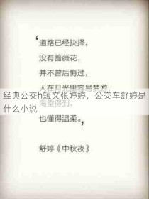 经典公交h短文张婷婷，公交车舒婷是什么小说