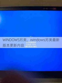 WINDOWS另类，windows另类最新版本更新内容