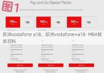 欧洲vodafone a18，欧洲vodafone+a18- MBA智库百科