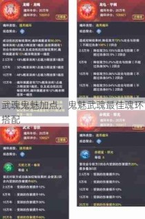 武魂鬼魅加点，鬼魅武魂最佳魂环搭配