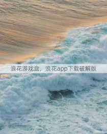 浪花游戏盒，浪花app下载破解版