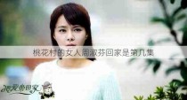 桃花村的女人周淑芬回家是第几集