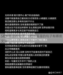 S把M骂湿的句子，s把m骂湿的句子有哪些文字