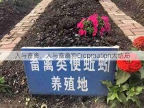 人与畜禽，人与畜禽狗Croproation大结局