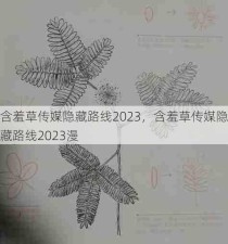 含羞草传媒隐藏路线2023，含羞草传媒隐藏路线2023漫