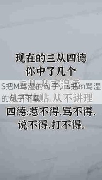 S把M骂湿的句子，s把m骂湿的句子下载