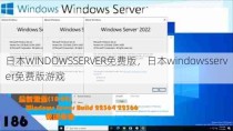 日本WINDOWSSERVER免费版，日本windowsserver免费版游戏