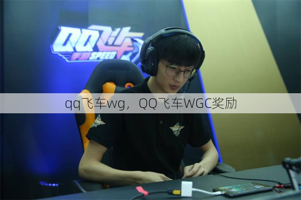 qq飞车wg，QQ飞车WGC奖励  第1张