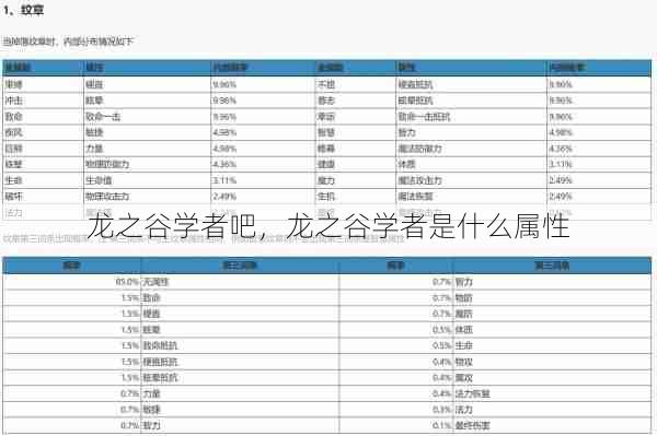 龙之谷学者吧，龙之谷学者是什么属性  第1张