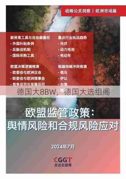 德国大8BW，德国大选组阁  第1张