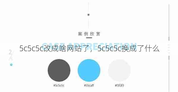 5c5c5c改成啥网站了，5c5c5c换成了什么  第1张