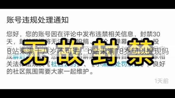 B站未满十八岁不可进，b站未满18岁可以提现吗  第1张