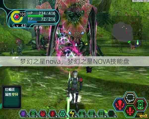 梦幻之星nova，梦幻之星NOVA技能盘  第1张