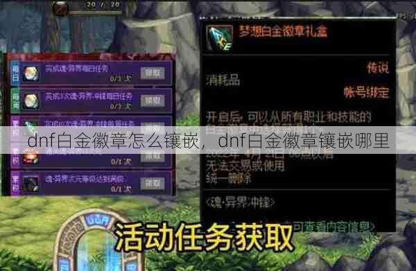 dnf白金徽章怎么镶嵌，dnf白金徽章镶嵌哪里  第1张