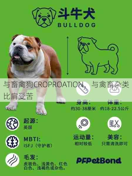 与畜禽狗CROPROATION，与禽畜杂类比肩受苦  第1张