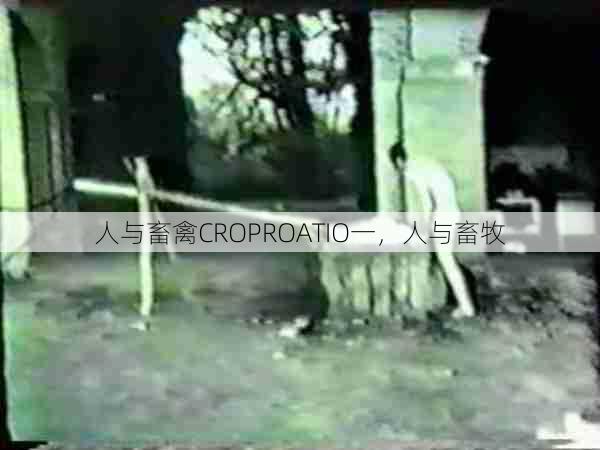 人与畜禽CROPROATIO一，人与畜牧  第1张