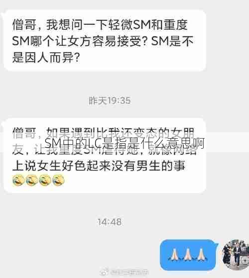 SM中的LC是指是什么意思啊  第1张