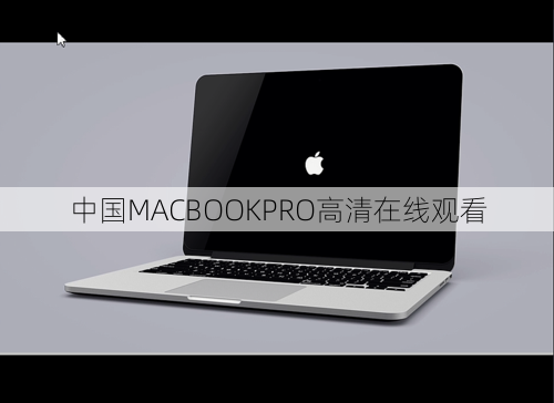 中国MACBOOKPRO高清在线观看  第1张