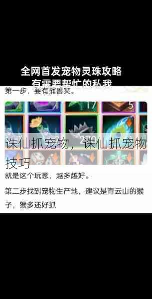 诛仙抓宠物，诛仙抓宠物技巧  第1张