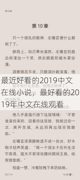 最近好看的2019中文在线小说，最好看的2019年中文在线观看  第1张