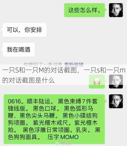 一只S和一只M的对话截图，一只s和一只m的对话截图是什么  第1张