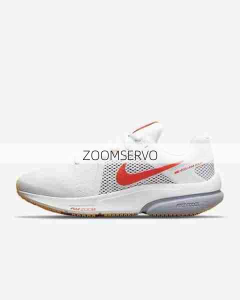 ZOOMSERVO  第1张