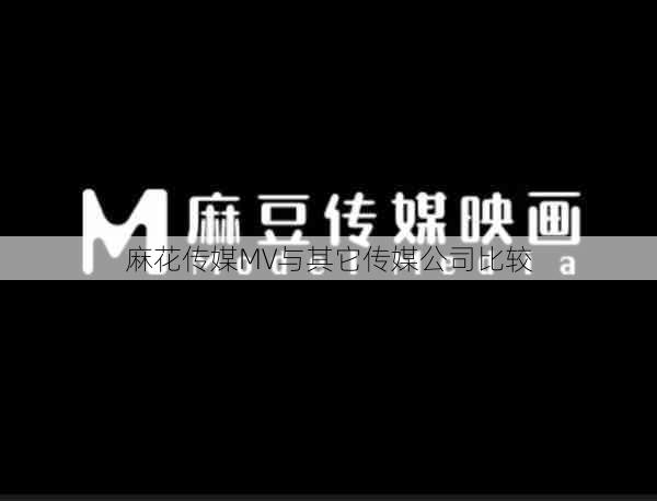 麻花传媒MV与其它传媒公司比较  第1张