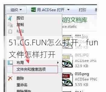 51.CG.FUN怎么打开，fun文件怎样打开  第1张