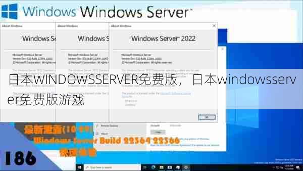 日本WINDOWSSERVER免费版，日本windowsserver免费版游戏  第1张