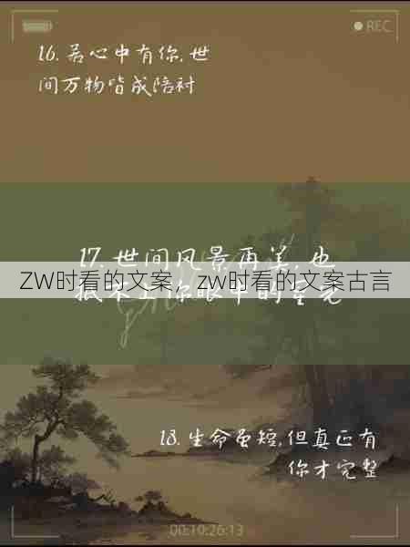 ZW时看的文案，zw时看的文案古言  第1张