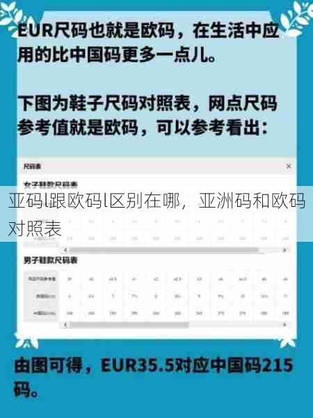 亚码l跟欧码l区别在哪，亚洲码和欧码对照表  第1张