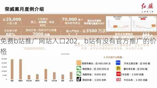 免费b站推广网站入口202，b站有没有官方推广的价格  第1张