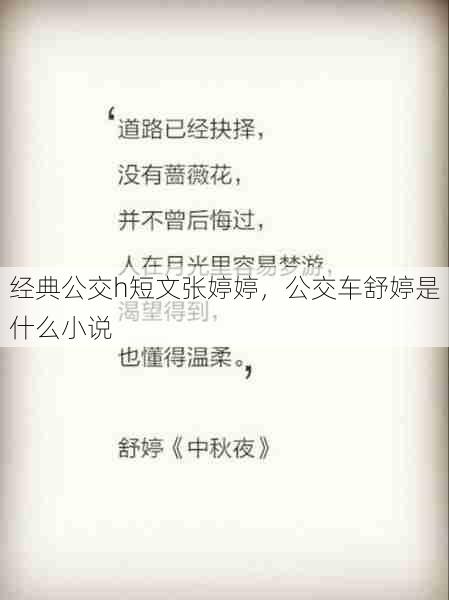 经典公交h短文张婷婷，公交车舒婷是什么小说  第1张