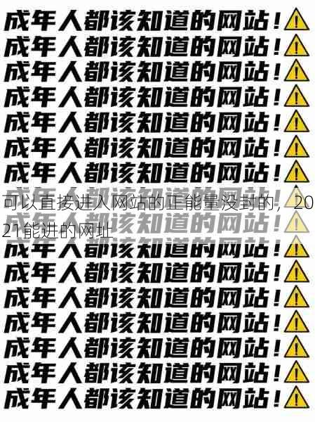 可以直接进入网站的正能量没封的，2021能进的网址  第1张