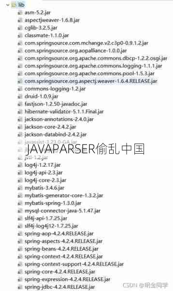 JAVAPARSER偷乱中国  第1张