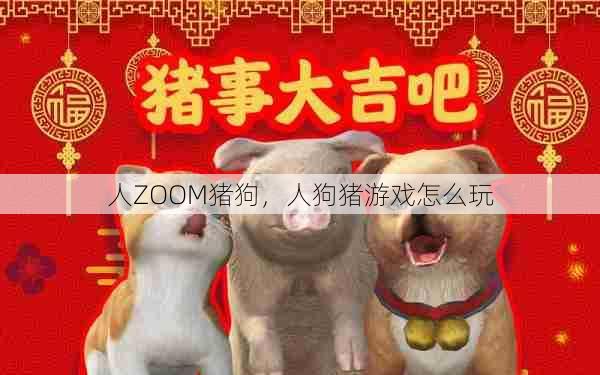 人ZOOM猪狗，人狗猪游戏怎么玩  第1张