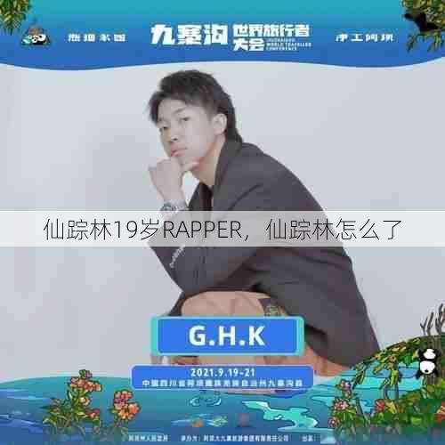 仙踪林19岁RAPPER，仙踪林怎么了  第1张