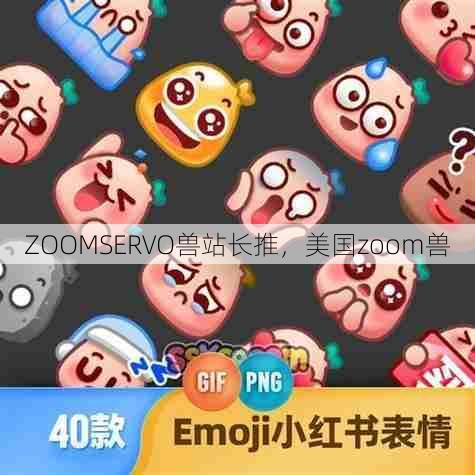 ZOOMSERVO兽站长推，美国zoom兽  第1张